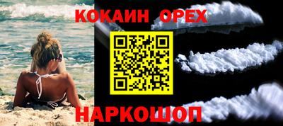 PSILOCYBIN Заволжье