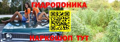 PSILOCYBIN Заволжье